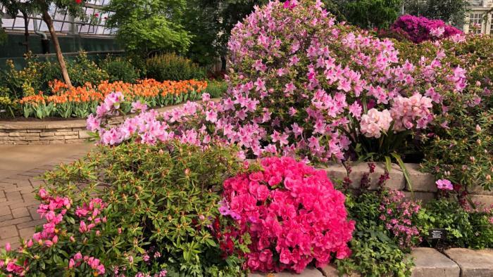 Garfield Park Conservatory's "Saturation" exhibit. (Patty Wetli / WTTW News)