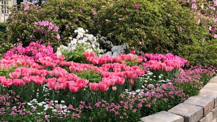 Garfield Park Conservatory's "Saturation" exhibit. (Patty Wetli / WTTW News)
