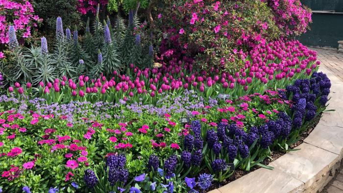 Garfield Park Conservatory's "Saturation" exhibit. (Patty Wetli / WTTW News)