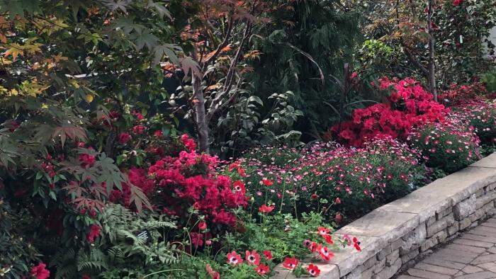 Garfield Park Conservatory's "Saturation" exhibit. (Patty Wetli / WTTW News)