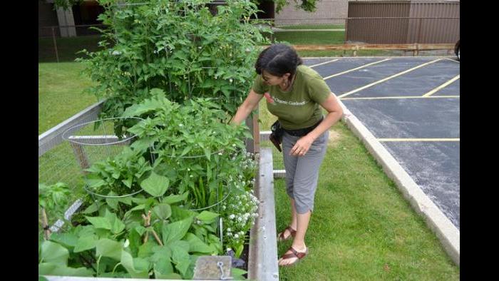 Jeanne Nolan checks on the crops in the north garden bed.