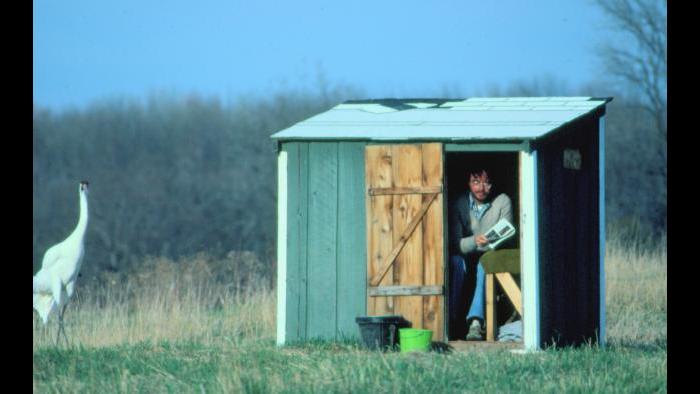 George Archibald and Tex (Photo/International Crane Foundation) 