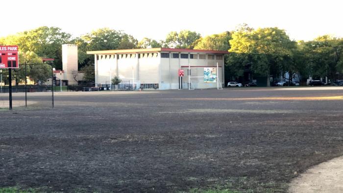 The grub-devastated lawn at Lincoln Square's Welles Park. (Patty Wetli / WTTW News)