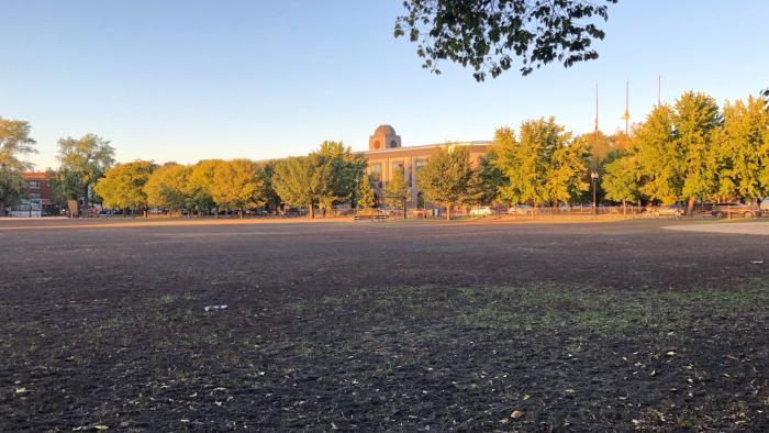 Experts said they'd never seen anything like the devastation caused by grubs at Welles Park. (Patty Wetli / WTTW News)