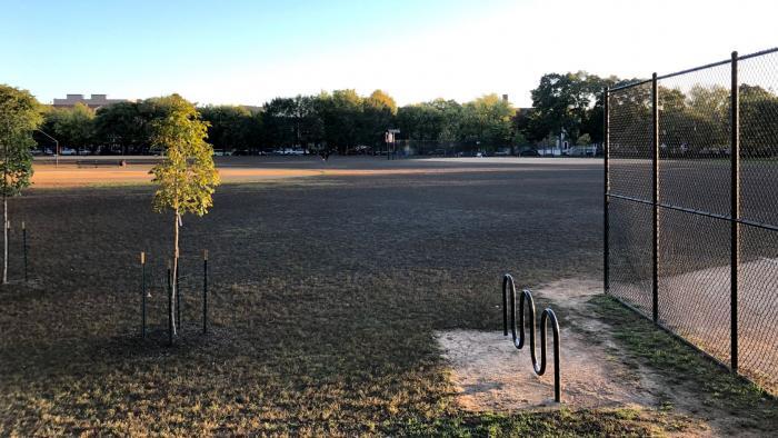 Trees stand out starkly against the barren landscape at Welles Park. (Patty Wetli / WTTW News)