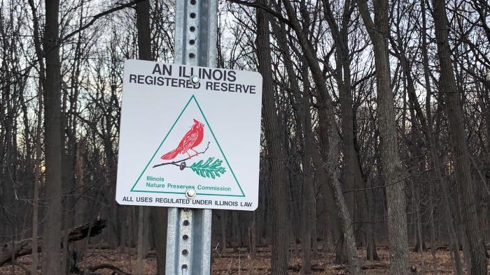 As a nature preserve, Harms Woods itself is protected from development, but not from what goes on across the street. (Patty Wetli / WTTW News)