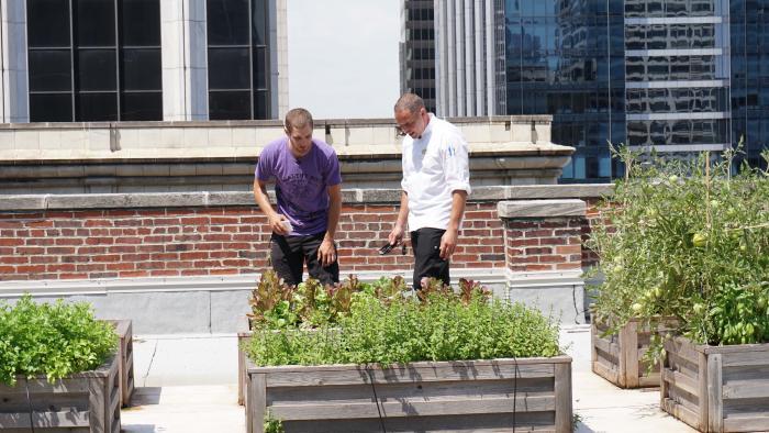 Healthy Soil Compost, helping a chef's garden grow. (Alexandra Silets / Chicago Tonight)