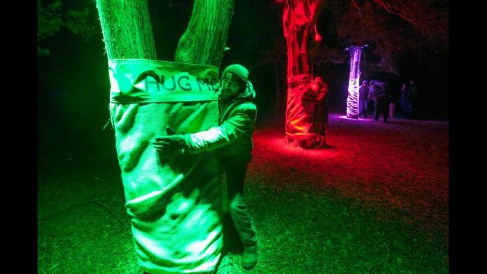 (Courtesy of the Morton Arboretum)