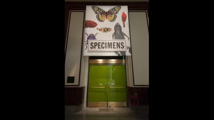 (Courtesy of the Field Museum)
