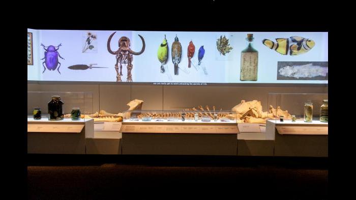 (Courtesy of the Field Museum)