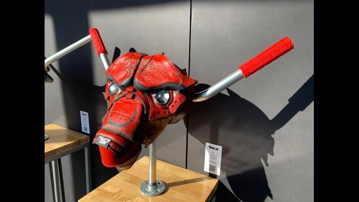 “Chicago Bulls Remix” (Angel Idowu / WTTW News)
