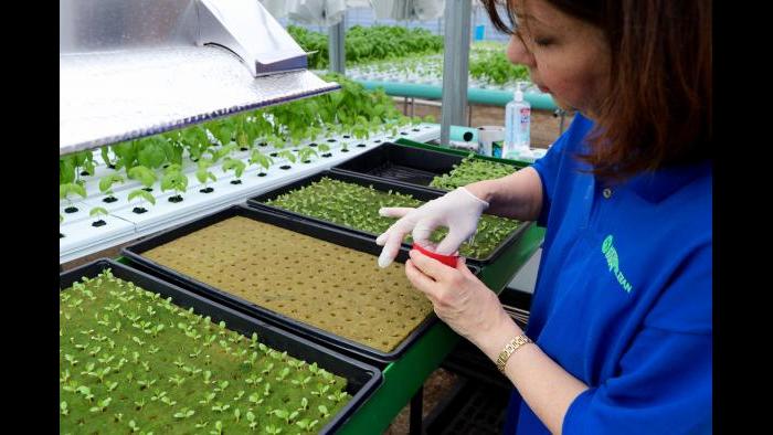 All seeds are sown by hand. (Evan Garcia)