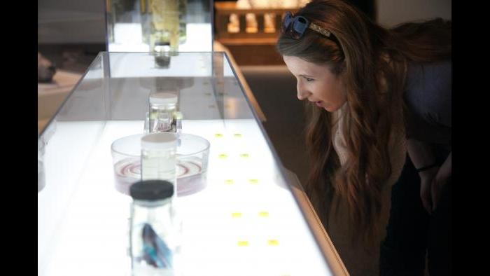 (Courtesy of the Field Museum)