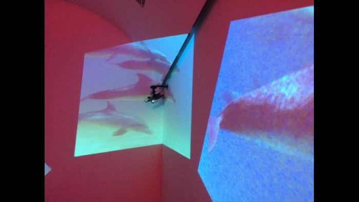 Projectors and video mounts are part of Thater’s installations. (“Delphine” 1999)