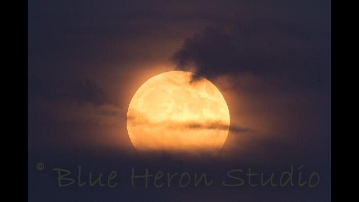 Photo by Kathy Jo Drake: Paris, Ill, shot at 400 mm on our farm just before the eclipse started. Then we had the clouds move in.