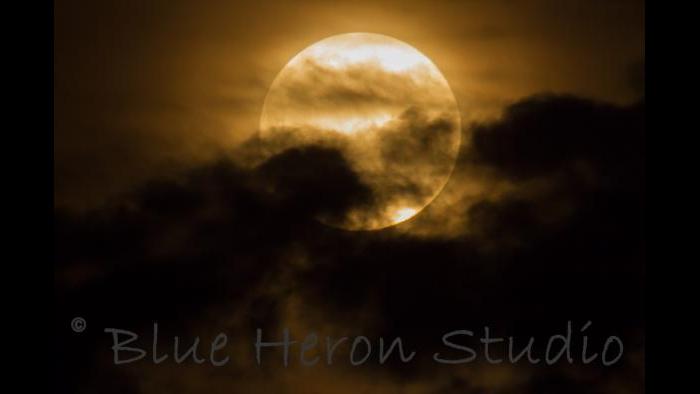 Photo by Kathy Jo Drake: Paris, Ill, shot at 800 mm on our farm.