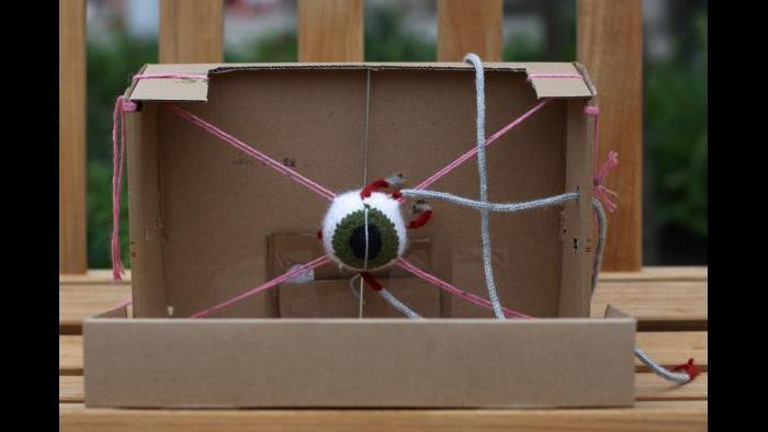 Knitted eye (Courtesy of Daniel Lam)