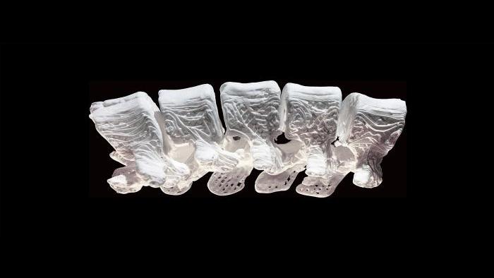Second place: “3D-Printed Hyperelastic Bone Spine” by Adam Jakas.