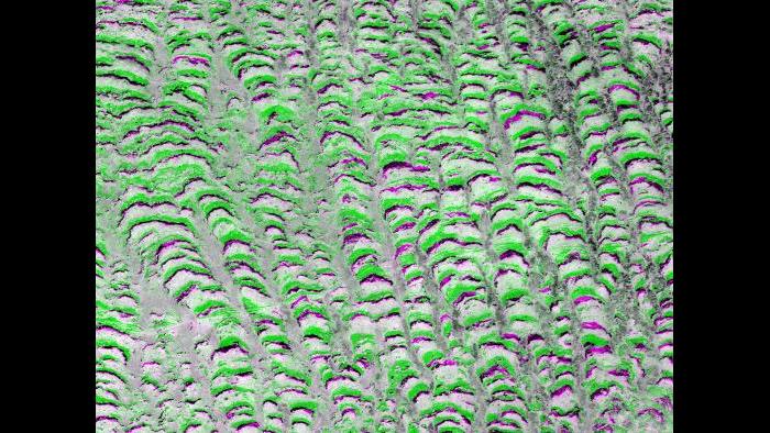 Fourth place: “The Slow March of Vegetation Stripes” by Karna Gowda.
