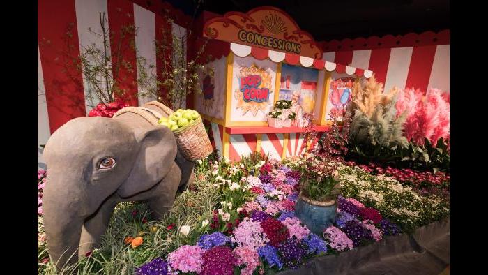 The 2017 Flower Show (Credit: Daniel Boczarski for Macy’s)