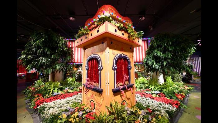 The 2017 Flower Show (Credit: Daniel Boczarski for Macy’s)