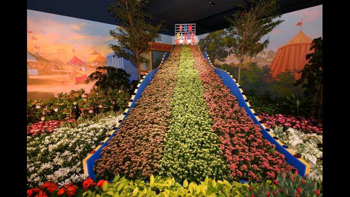 The 2017 Flower Show (Credit: Daniel Boczarski for Macy’s)