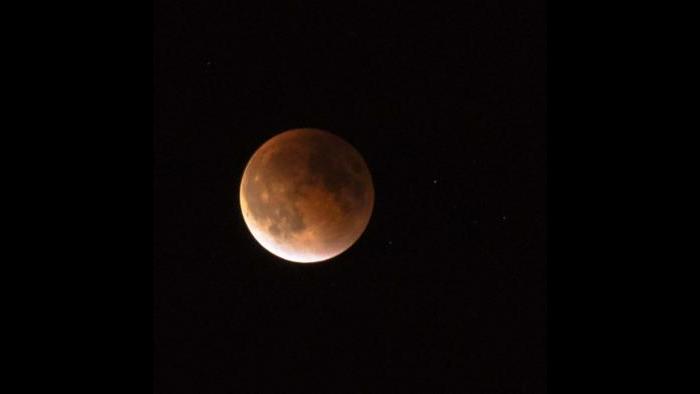 Photo by Janelle Pitula: Backyard Tripod at 200 mm