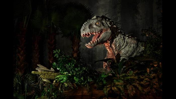 (Courtesy of The Field Museum)