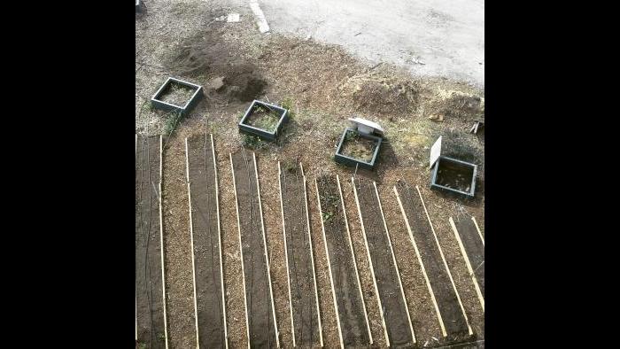 Scheffel's early garden. (Courtesy Jonathan Scheffel)