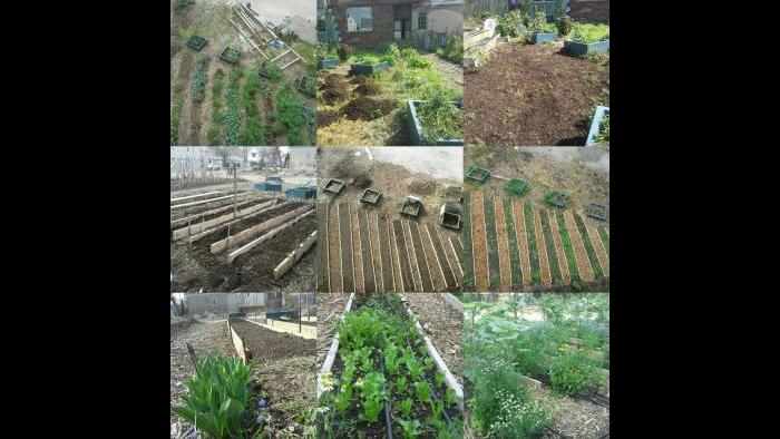 Scheffel's garden haul. (Courtesy Jonathan Scheffel)