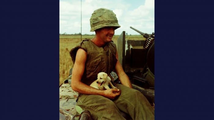 Refuge, 1966. A soldier from the U.S. Army 1st Infantry Division holds a puppy that managed to survive an air strike near Laike. Photo by Specialist 5 Robert C. Lafoon, U.S. Army.