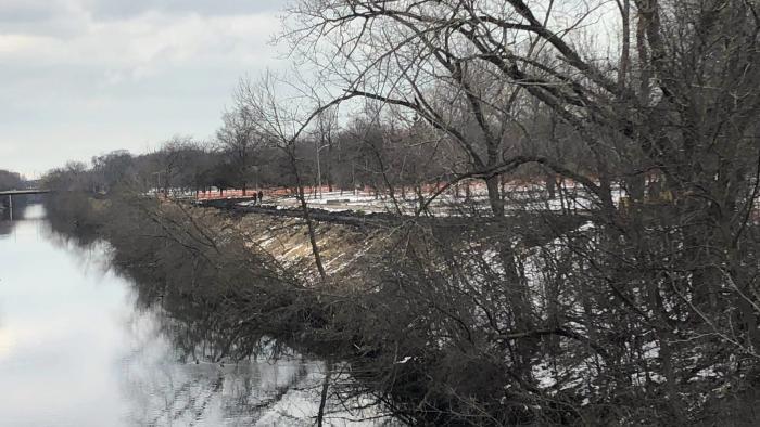 The bank of Legion Park. Remaining trees along the water's edge will be removed. The restoration project will replace invasive species with native plants, providing food and habitat for wildlife while also combatting erosion. (Patty Wetli / WTTW News)