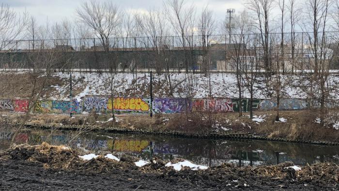 With the east bank shorn of foliage, neighbors complain their view now includes "eyesores" like this wall of graffiti on the West Bank. Ald. Andre Vasquez said there may be an opportunity to create a mural or mosaic. (Patty Wetli / WTTW News)
