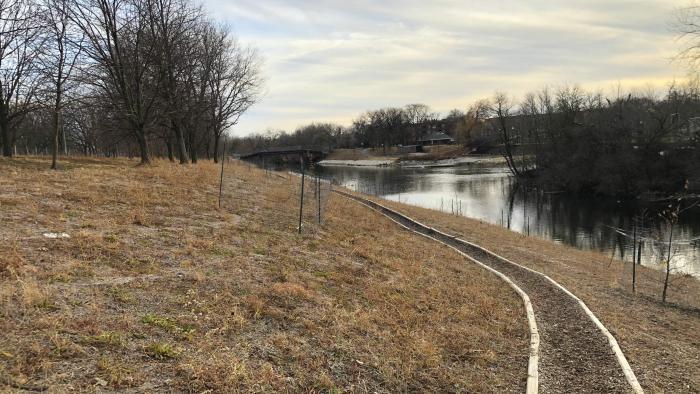 The restored riverbank in neighboring River Park offers a glimpse of what the bank of Legion Park will look like. (Patty Wetli / WTTW News)