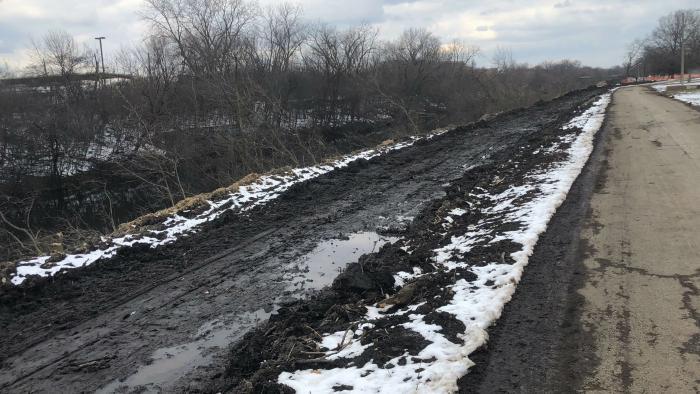 The east bank of the North Shore Channel, between Foster and Bryn Mawr avenues, has been stripped of foliage. (Patty Wetli / WTTW News)