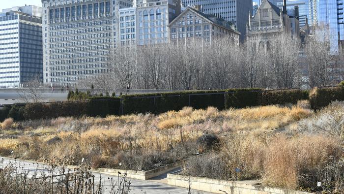 (Jo ana Kubiak / Lurie Garden)