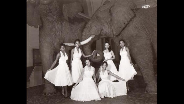 Miss Wonderful 1958 contestants (Courtesy of Ernestine Terry)