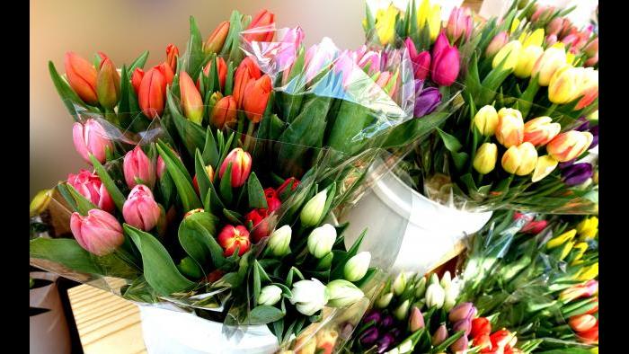 Flowers at Green City Market. (Photo by Cindy Kurman / Kurman Communications)