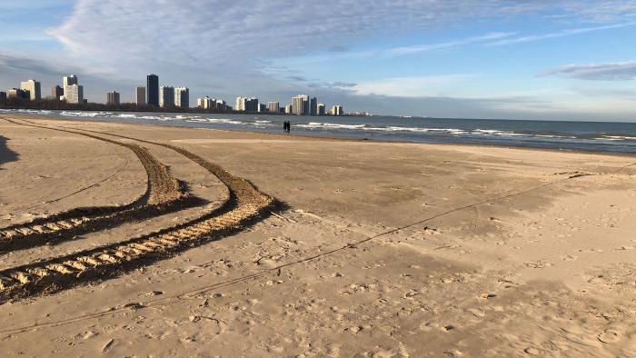 Groomed Montrose Beach, adjacent to the dunes. (Patty Wetli / WTTW News)