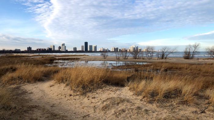 Montrose Beach dunes steward Leslie Borns said the natural area provides a way to escape urban life without leaving the city. (Patty Wetli / WTTW News)