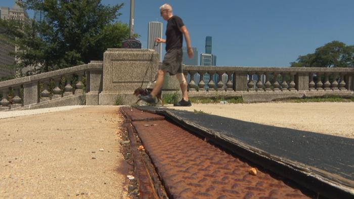 Grant Park in Chicago. (WTTW News)