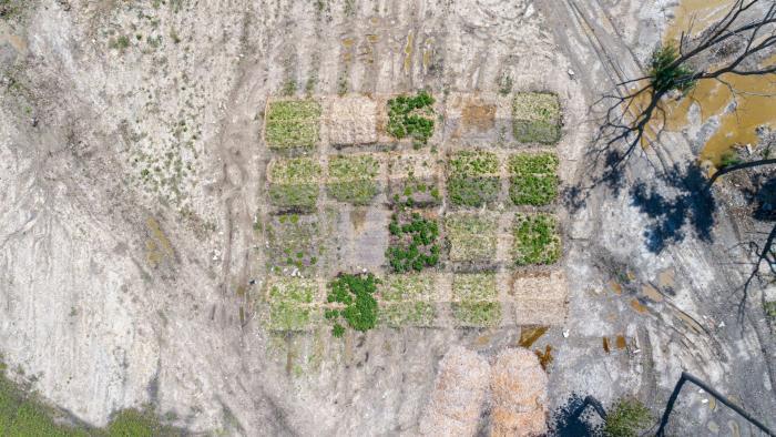 An aerial view of soil test beds. Greener doesn't necessarily mean better — it could indicate the growth of invasive species. (Courtesy of Chicago Park District)