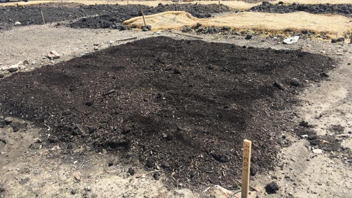 Close-up view of soil test beds. (Courtesy of Chicago Park District)
