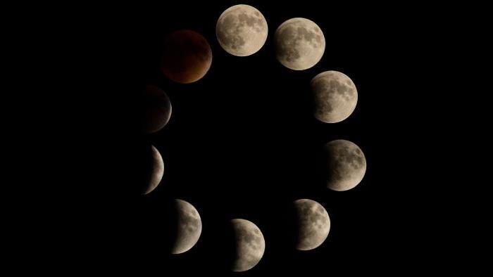 Photo by Meghan Young: Just the phases of the eclipse that I caught! Each photo is individual!