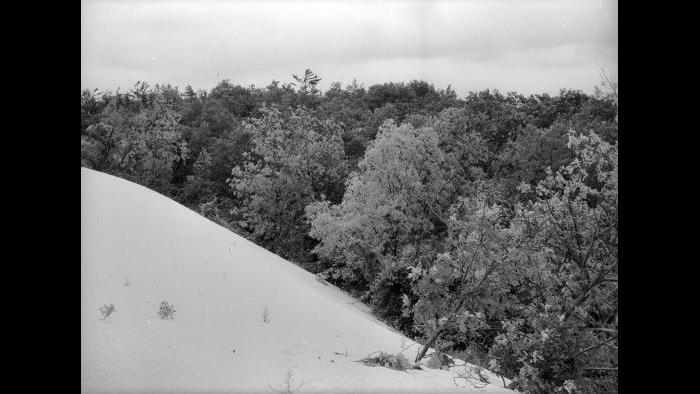 Indiana Dunes (Jun Fujita / Courtesy of Graham and Pamela Lee)