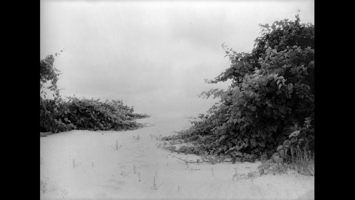 Indiana Dunes (Jun Fujita / Courtesy of Graham and Pamela Lee)