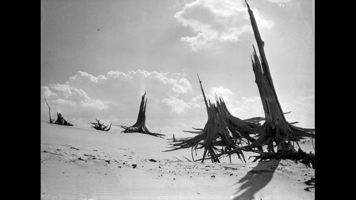 Indiana Dunes (Jun Fujita / Courtesy of Graham and Pamela Lee)