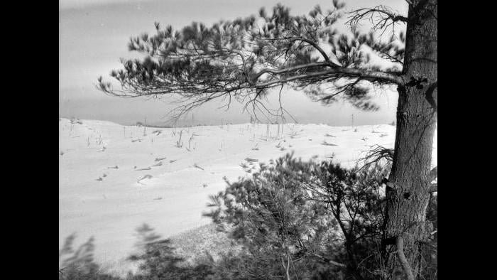 Indiana Dunes (Jun Fujita / Courtesy of Graham and Pamela Lee)