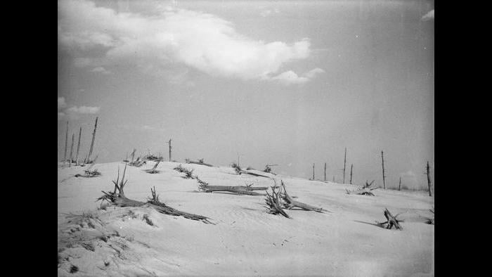 Indiana Dunes (Jun Fujita / Courtesy of Graham and Pamela Lee)