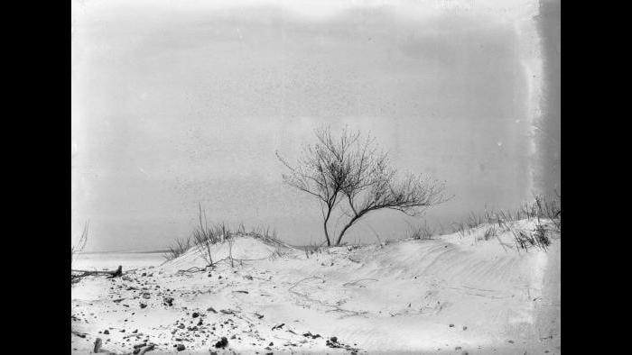 Indiana Dunes (Jun Fujita / Courtesy of Graham and Pamela Lee)